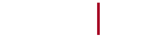 DameCo Inc logo